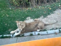 -北京野生动物园