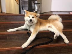 -YCHL Studios健身工作室(市二宫店)
