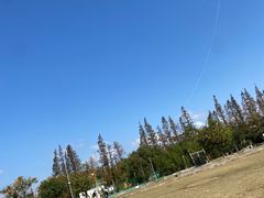 -前小桔亲子创意农场·草莓采摘·露营烧烤