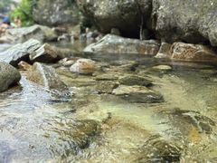 -无染寺