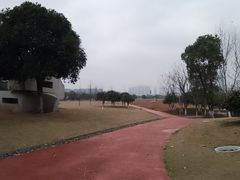 -洋湖国家湿地公园