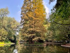 -上海共青森林公园