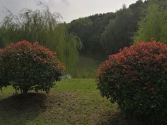 -南湖湿地公园