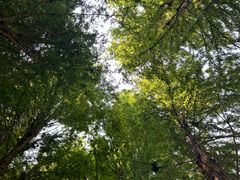 -捞渔河湿地公园