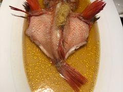 鸡油姜酒蒸金吉鱼-解香楼(八盘岭路店)