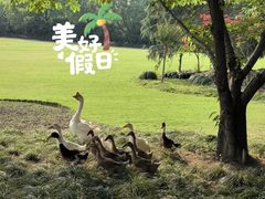 -黄兴公园