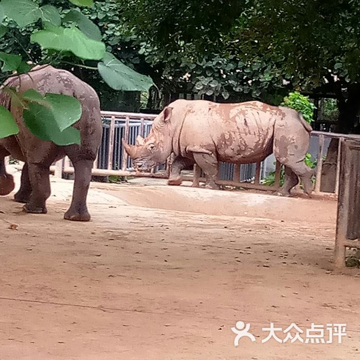 東莞香市動物園