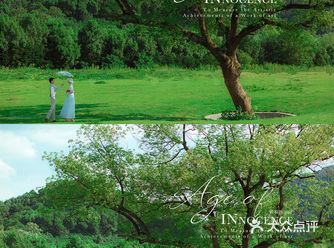 法式田园油画风婚纱照杭州婚纱照