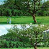 法式田园油画风婚纱照🌿杭州婚纱照