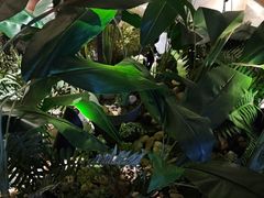 -浅深(北京北四环精品店)