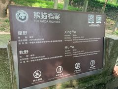 -都江堰中华大熊猫苑