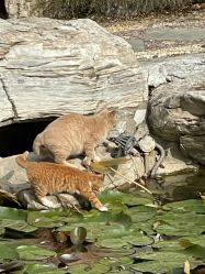 -颐和宾馆宴会厅
