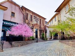 -北京张裕爱斐堡酒庄