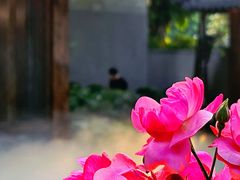 -大妙火锅·非物质文化遗产(东湖公园店)