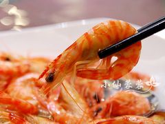 基围虾-彩虹坊火锅(宁穿路店)