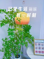 -变美丽半永久纹眉连锁·机器野生眉·洗眉