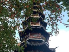 -上海佘山国家森林公园西佘山园