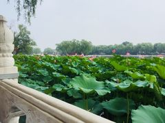 -小王府(什刹海店)