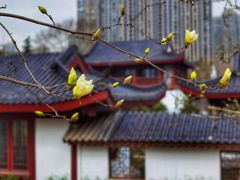 -堤角公园