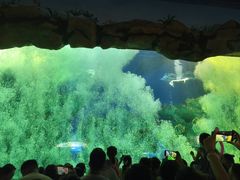 -芜湖新华联大白鲸海洋公园
