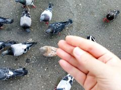 -宪法广场