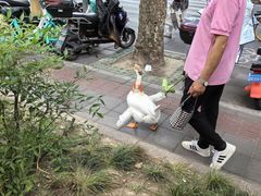 -上海市普陀区中心医院