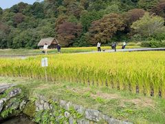-白川乡与五箇山的合掌构造村落
