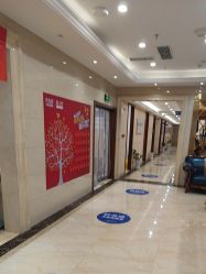 -碧莲盛·不剃发植发