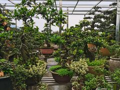 -南山植物园
