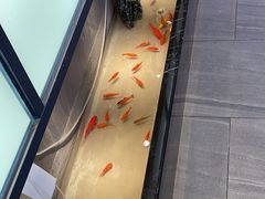 -邵汇大虾火锅(鲁迅路店)