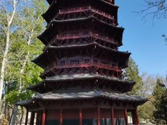 -北京世界公园