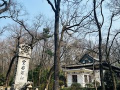 -灵谷景区