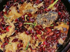 -老板恋上鱼(恒隆广场店)