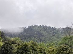 -贵州省植物园