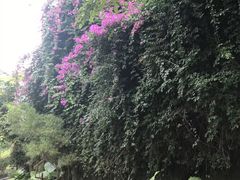 -铁路文化公园