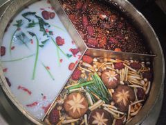 -湊湊火锅·茶憩(南京东路悦荟店)