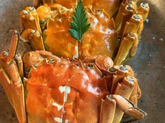 -花潮料理艺食馆(宝龙一城店)