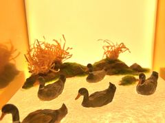 -德基艺术博物馆