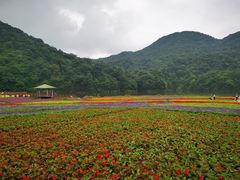 -广州市石门国家森林公园
