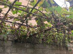 -柞水乾佑红门家菜