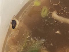 -车沾巷·重庆老味豌杂面