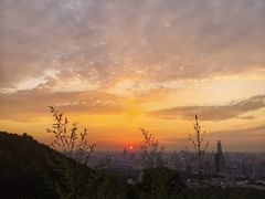 -千佛山风景名胜区