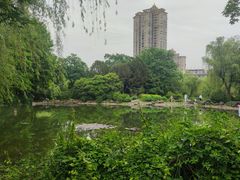 -新虹桥中心花园