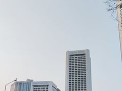 -南京金陵饭店