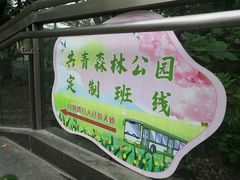 -共青国家森林公园-游客服务中心