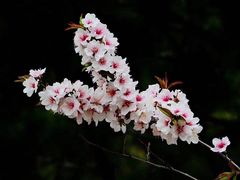 -山东理工大学