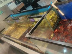 -遇上西雅图多融合海鲜自助餐厅(中房金谊广场店)