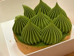 抹茶挞-猫里有甜