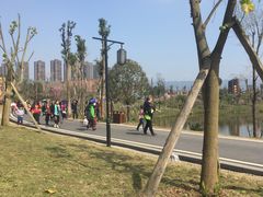 -枫香湖儿童公园