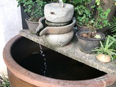 -浙C老邻舍(西城海错店)